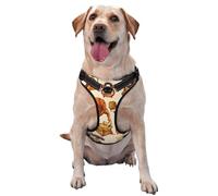 Reloj de boceto Retro, cámara y micrófono,Arnés para Mascotas, arnés Reflectante Ajustable para Perros,M