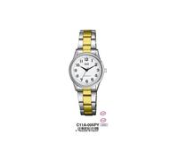 Reloj de hombre Q&Q GENT DAY & DATE (Ø 40 mm)