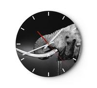 Reloj de Pared 30x30cm Reloj de Vidrio elefante colmillo naturaleza Silencioso