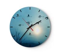 Reloj de Pared 40x40cm Reloj de Vidrio cigüeña pájaro naturaleza Silencioso
