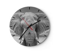 Reloj de Pared 40x40cm Reloj de Vidrio Elefante África Animales Silencioso