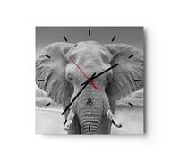 Reloj de Pared 40x40cm Reloj de Vidrio Elefante África Animales Silencioso