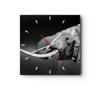 Reloj de Pared 40x40cm Reloj de Vidrio elefante colmillo naturaleza Silencioso