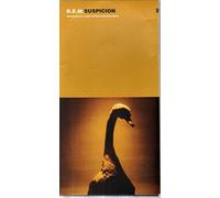 REM - Suspicion