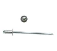 Remache Cabeza Alomada 4.8 X 21 Aluminio 250 Uds Clavo De Acero Bralo