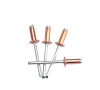 Remache ciego, Remaches Pop estándar ciegos abiertos de acero y cobre, 10 Uds., M2.4 M3.2 M4 .8, remache decorativo(10mm,M4)
