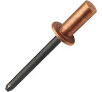 Remaches ciegos de extremo cerrado de 30 piezas, Ø4,8 x 12 mm, cabeza de cúpula de cobre con portabrocas de acero, remaches pop sellados