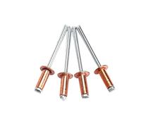 remaches ciegos, Remache ciego M2.4 M3.2 M4 .8 Remaches pop de cobre rojo Cabeza semicircular Tipo abierto Tornillos tapa extraíble(5pcs M4.8x16)