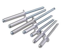 Remaches de brida, remaches de acero inoxidable, remaches ciegos de cabeza abombada de acero al aluminio M2.4 M2.8 (M2.4x6, 100 piezas)(M2.4x12,50Pcs)