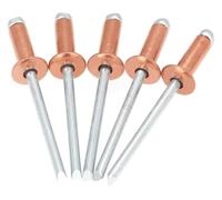 Remaches de cobre, 30/50 piezas de remache ciego de cobre, remaches de acero de cobre y bronce de tipo abierto con cabeza de cúpula(4.0x16 Mm,30Pcs)