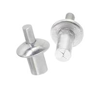 Remaches de expansión con accionamiento de martillo | Golpe perforador de cabeza de clavo de aleación de aluminio de expansión de percusión(100PCS,9mm)