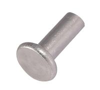 remaches, Remaches sólidos de cabeza plana M2 x 3 mm-10 mm y,5 mm-12, sujetadores percusión métricos lisos que no se caen, 500 piezas(M2. 10mm)(M2.5 x 12mm)