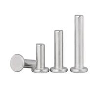 remaches sólidos, Punzón de cabeza oblea plana y delgada aluminio, autotapante, remache sólido, varios tamaños(30mm,M2.5)