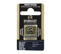 Rembrandt Pastilla de acuarela Verde oliva 620 - Calidad profesional - Alta resistencia a la luz - Pigmentos puros - Fabricado en los Países Bajos