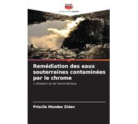 Remédiation des eaux souterraines contaminées par le chrome: L'utilisation du fer nanométrique