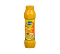Remia Salsa para freír 5.0 | Tubo 15 x 800 ml