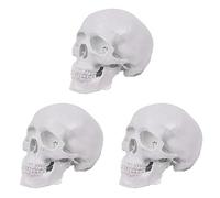 Remingtape 3X Mini Modelo de Cráneo Humano, Modelo de Cráneo Anatómico de 3 Partes con Tapa de Cráneo Extraíble y Mandíbula Articulada