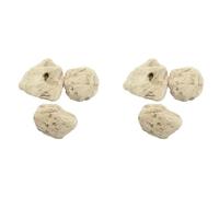 Remingtape 6 piezas de rocas reales para acuario, plantas acuáticas, para acuario, paisajes acuáticos, modelos: S diámetro 4-5 cm