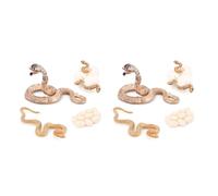 Remingtape 8X Animal realista Vida Crecimiento Modelo Biológico Juguete Serpientes Crecimiento Modelo Biológico Crecimiento