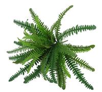 Remingtape Helechos artificiales para exterior e interior, grandes helechos artificiales, plantas de helechos artificiales de boston para maceta, jardín, porche, entrada A