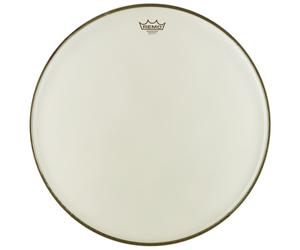 "Remo 22"" Renaissance Ambassador BD"