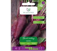 Remolacha Cylindra - cilíndrica