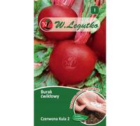 Remolacha Czerwona Kula 2