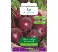 Remolacha Czerwona Kula 2 - redonda