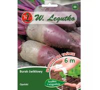 Remolacha de Opolski - cilíndrica