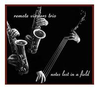 Remote Viewers Trio - Notes Lost in a Filed