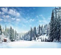 Renaiss 1.5x1m Fondo de Escena de Invierno Nieve País de Las Maravillas Pino Bosque Fondo de fotografía Niño al Aire Libre Retrato de Adulto Fiesta de Navidad Banner Accesorios de Estudio