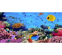 Renaiss 2.5x1.2m Bajo el mar Telón de Fondo Acuario Colorido Peces Coral Vida Marina Mundo Submarino Fotografía Fondo Fiesta Decoración Niños Bebé Retrato Disparos Estudio Props