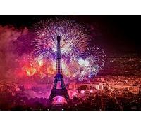 Renaiss 2.5x1.8m Telón de Fondo de Escena Nocturna de París florecimiento de Fuegos Artificiales telón de Fondo romántico Torre Eiffel fotografía de Fondo Retrato de niño Adulto Accesorios de Estudio