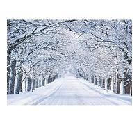Renaiss 3x2.5m Fondo de Escena de Nieve Blanca Árboles de Invierno País de Las Maravillas Paisaje Fotografía de Carretera Fondo Decoración de Fiesta Niño Adulto Retrato Disparo Studio Props