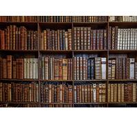 Renaiss 3x2.5m Fondo de estantería Biblioteca de Madera Estantería de Libros Fondo de fotografía Colección de Libros Escolares Libros mágicos Biblioteca Antigua Estudiante Artístico Studio Props