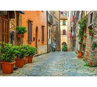 Renaiss 3x2.5m Telón de Fondo de callejón de Italia Escena de Edificio Europeo Fondo de fotografía Ciudad Vieja Calles estrechas Telón de Fondo de Viaje para niños Accesorios de Estudio para Adultos