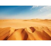 Renaiss 3x2m Fondo del Desierto Cielo Azul Dunas de Arena Sáhara Gobi Fondo de fotografía Occidental Paisaje de la Naturaleza Niños Adultos Viaje Accesorios de Estudio fotográfico Papel de Vinilo