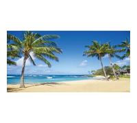 Renaiss 4.5x2.5m Fondo de Playa de Verano Océano Tropical Playa de Arena Palmeras Fondo de fotografía Niños Adultos Vacaciones Viajes Luna de Miel Vinilo Photo Booth Shoot Studio Props