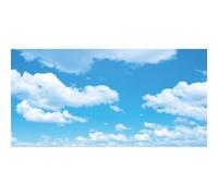 Renaiss 6x3m Fondo de fotografía de Cielo Cielo Azul Nube Blanca Telón de Fondo Fiesta de Vinilo Grande Banner Baby Shower Niños Adultos Retrato Foto Video Shoot Studio Props