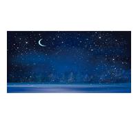 Renaiss 6x3m Fondo de Noche Estrellada Cielo Luna Nevada Fondos de fotografía Invierno Bosque borroso Noche Pinos Fondo Feliz Navidad Feliz Año Nuevo Decoración de Fiesta Accesorios de Estudio