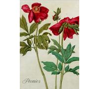 Renaissance Art Notebook, Albrecht Durer: Motivational and inspirational notebook with positive affirmations, Paintings with Modern Captions