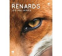 Renards: Les mal-aimés