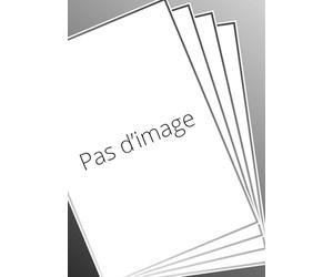 Rendre lisible l'invisible: Mélanges d'archéologie, d'histoire de l'art et d'histoire en l'honneur de Brigitte Boissavit-Camus