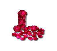 Rene rofe - Petalos de rosa fucsia