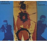 Renegade Soundwave - Probably a Robbery / Space Gladiator