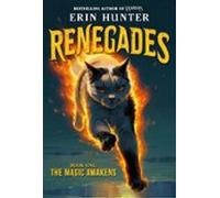 Renegades #1: The Magic Awakens (ebook)