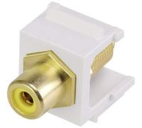 Renkforce RF-KS-RCAFG Keystone - Módulo de montaje RCA