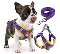 Rennaio Arnés Sin Tirones para Perro, Ajustable para Cachorros Con 2 Clips de Correa, Reflectante y Juego de Correa para Perros Pequeños y Medianos (Púrpura, S)