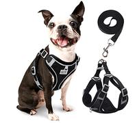 Rennaio Arnés Sin Tirones para Perro, Ajustable para Cachorros Con 2 Clips de Correa, Reflectante y Juego de Correa para Perros Pequeños y Medianos (Negro, M)