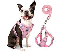 Rennaio Arnés Sin Tirones para Perro, Ajustable para Cachorros Con 2 Clips de Correa, Reflectante y Juego de Correa para Perros Pequeños y Medianos (Rosa, M)